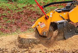 Best Emergency Tree Removal  in Prairie View, TX