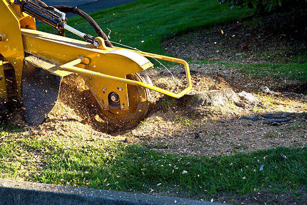 Landscape Design and Installation in Prairie View, TX