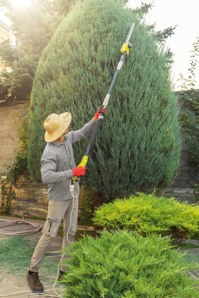 Best Landscape Design and Installation  in Prairie View, TX